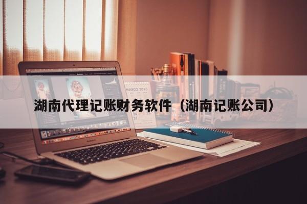 湖南代理记账财务软件（湖南记账公司）