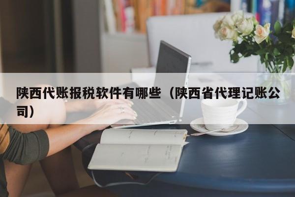 陕西代账报税软件有哪些（陕西省代理记账公司）