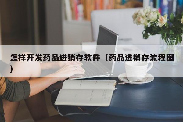 怎样开发药品进销存软件（药品进销存流程图）