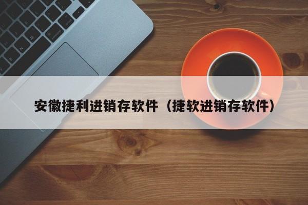 安徽捷利进销存软件（捷软进销存软件）