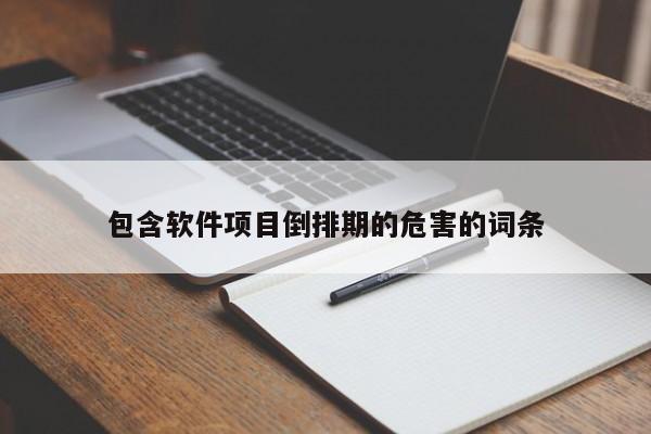 包含软件项目倒排期的危害的词条