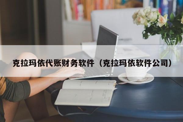 克拉玛依代账财务软件（克拉玛依软件公司）