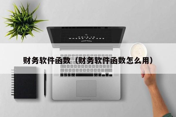 财务软件函数（财务软件函数怎么用）