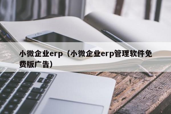 小微企业erp（小微企业erp管理软件免费版广告）