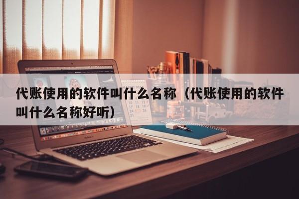 代账使用的软件叫什么名称（代账使用的软件叫什么名称好听）