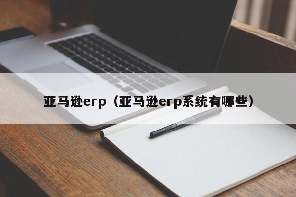 亚马逊erp（亚马逊erp系统有哪些）
